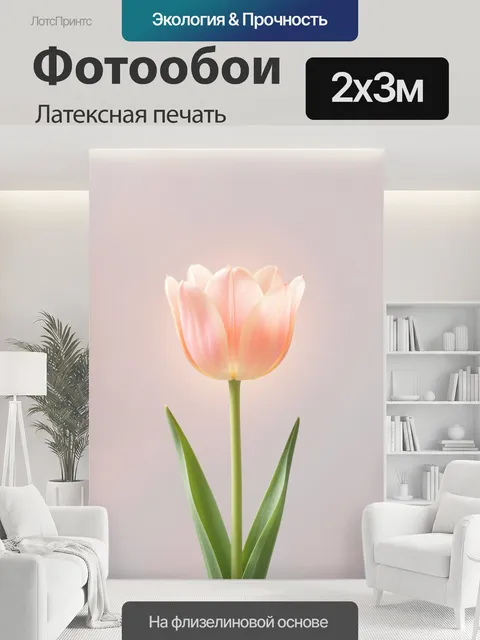 200 × 300 см · Латексная печать
