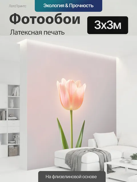 300 × 300 см · Латексная печать