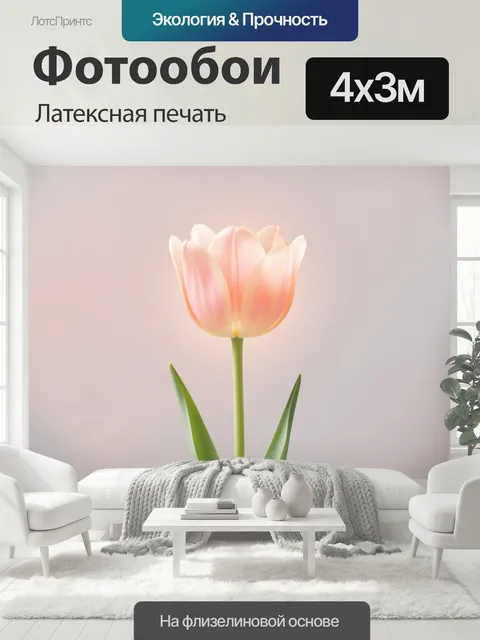 400 × 300 см · Латексная печать