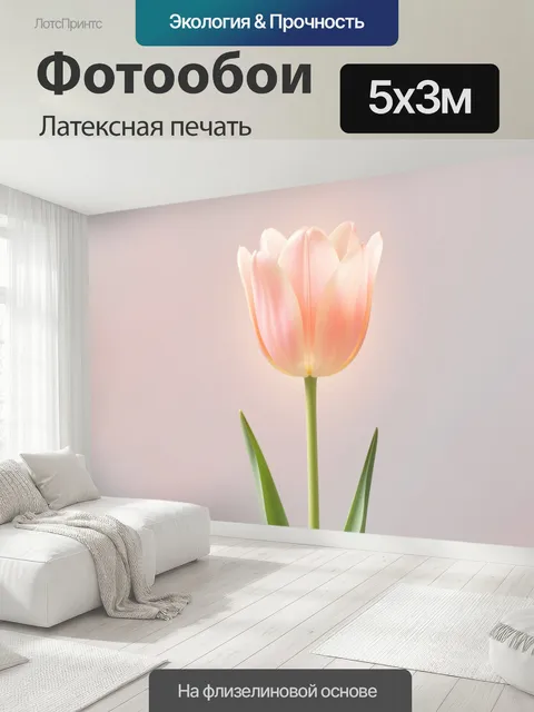 500 × 300 см · Латексная печать