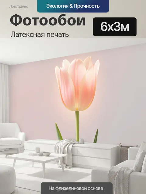 600 × 300 см · Латексная печать
