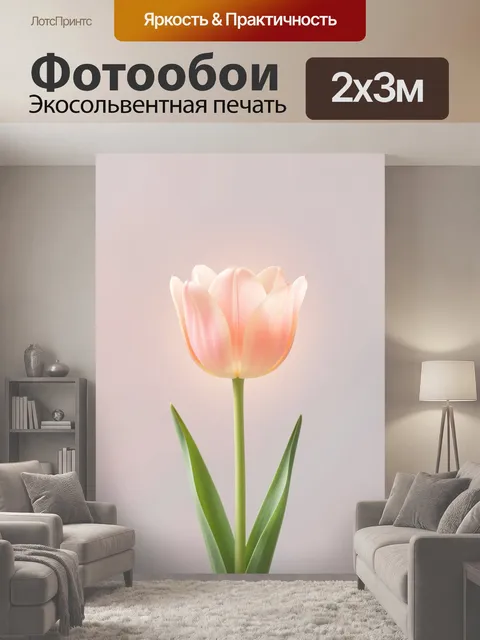 200 × 300 см · Экосольвентная печать