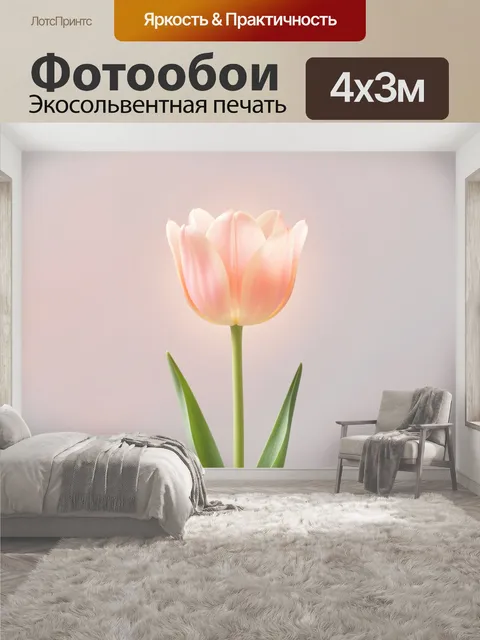 400 × 300 см · Экосольвентная печать