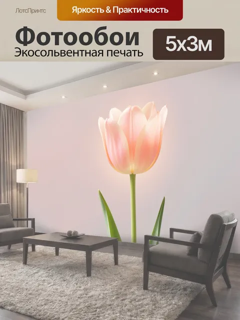 500 × 300 см · Экосольвентная печать