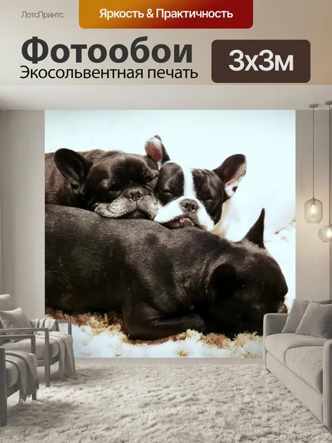 Фотообои Щенки, собака, французский бульдог