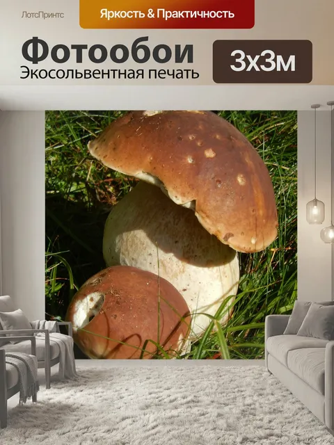 Фотообои Боровик, грибы, напиток