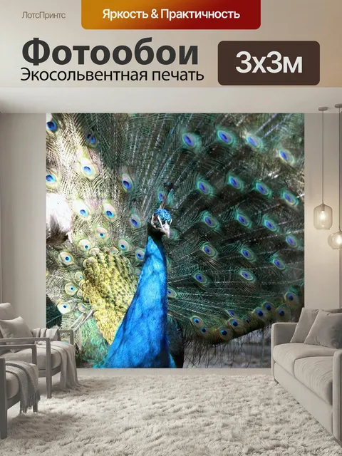 Фотообои Павлин, хвост павлина, синяя птица