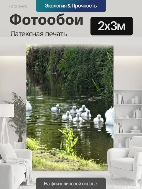 200 × 300 см · Латексная печать