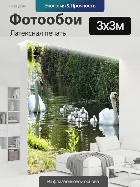 300 × 300 см · Латексная печать