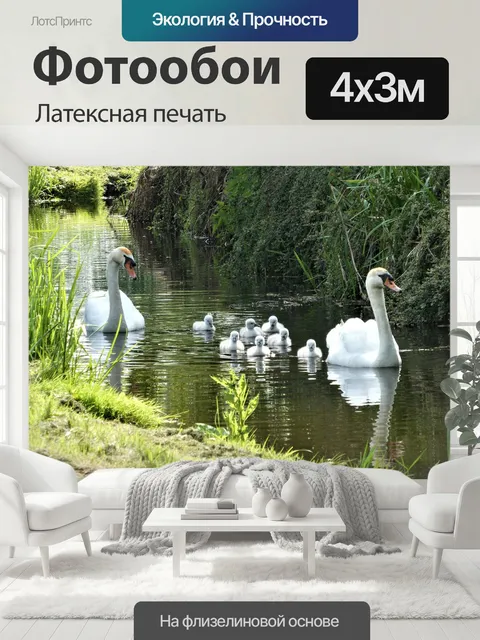 400 × 300 см · Латексная печать