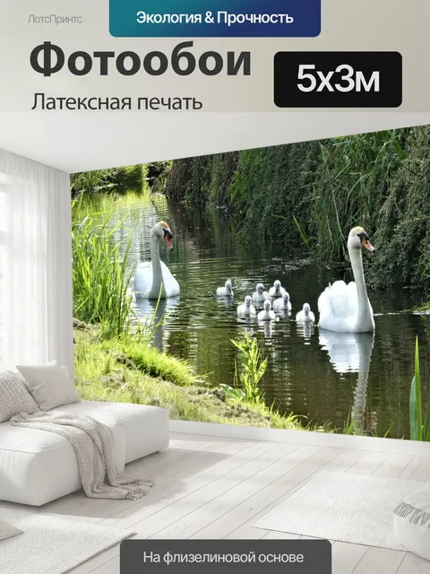 500 × 300 см · Латексная печать