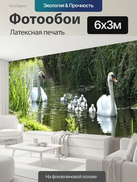 600 × 300 см · Латексная печать