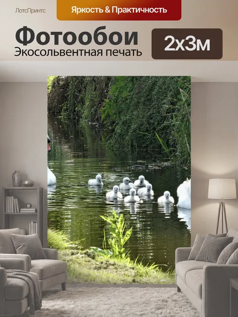 200 × 300 см · Экосольвентная печать