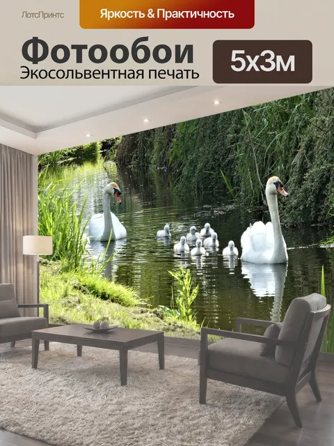 500 × 300 см · Экосольвентная печать