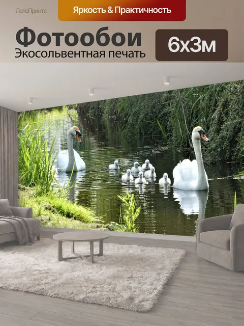 600 × 300 см · Экосольвентная печать