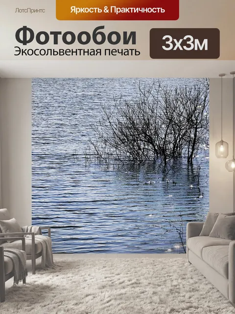 Фотообои Водоросль, аргент, блеск