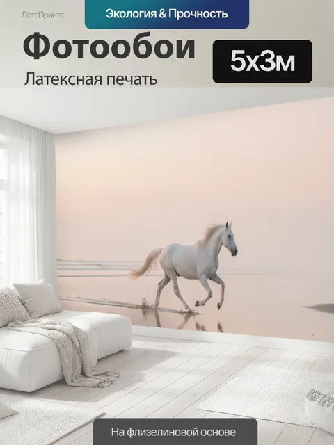 500 × 300 см · Латексная печать