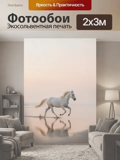 200 × 300 см · Экосольвентная печать