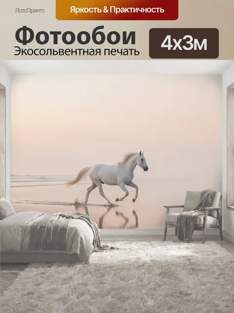 400 × 300 см · Экосольвентная печать