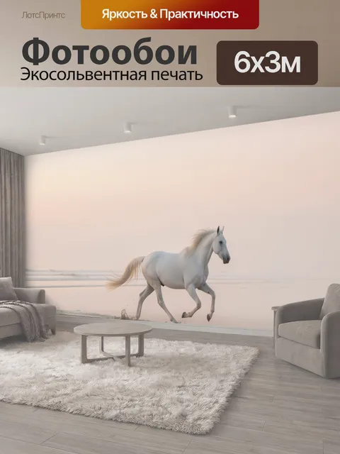 600 × 300 см · Экосольвентная печать