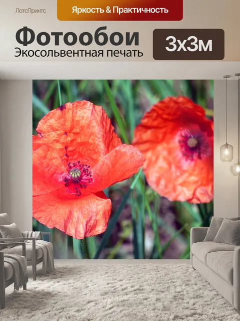 Фотообои Маки, цветок, поля