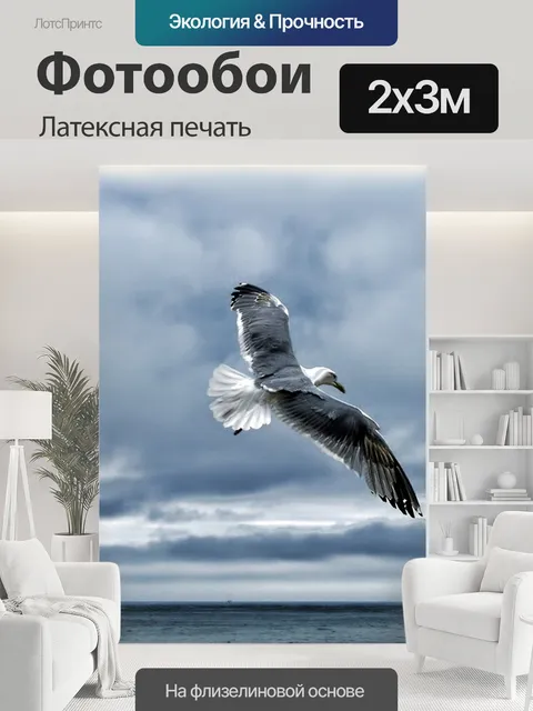 200 × 300 см · Латексная печать