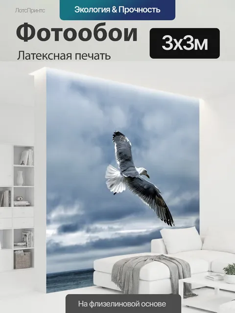 300 × 300 см · Латексная печать
