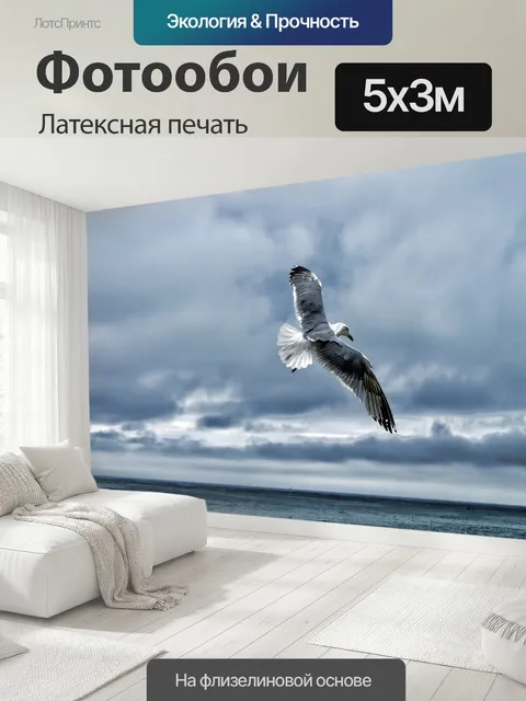 500 × 300 см · Латексная печать