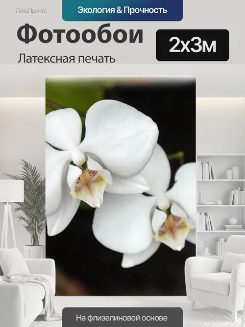 200 × 300 см · Латексная печать
