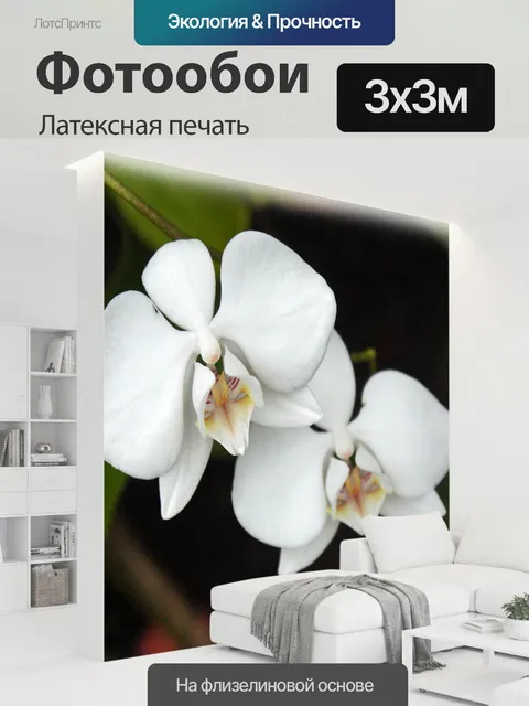300 × 300 см · Латексная печать