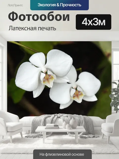 400 × 300 см · Латексная печать