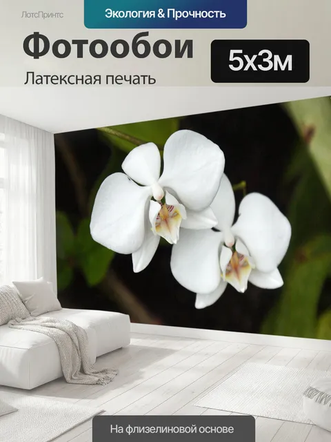 500 × 300 см · Латексная печать