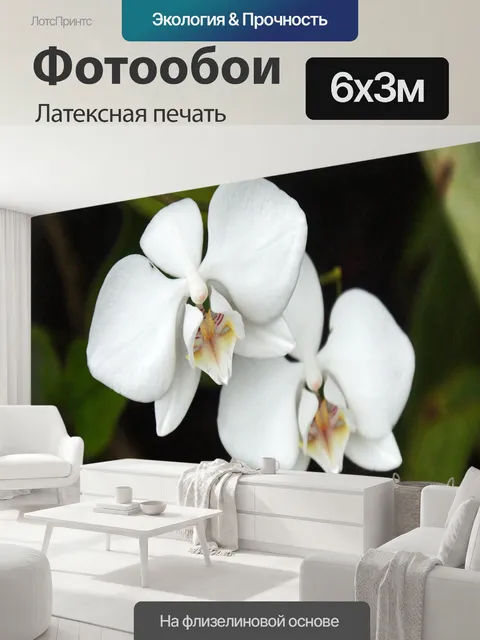 600 × 300 см · Латексная печать