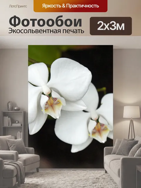 200 × 300 см · Экосольвентная печать