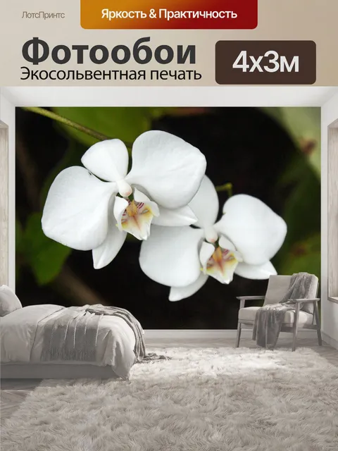 400 × 300 см · Экосольвентная печать