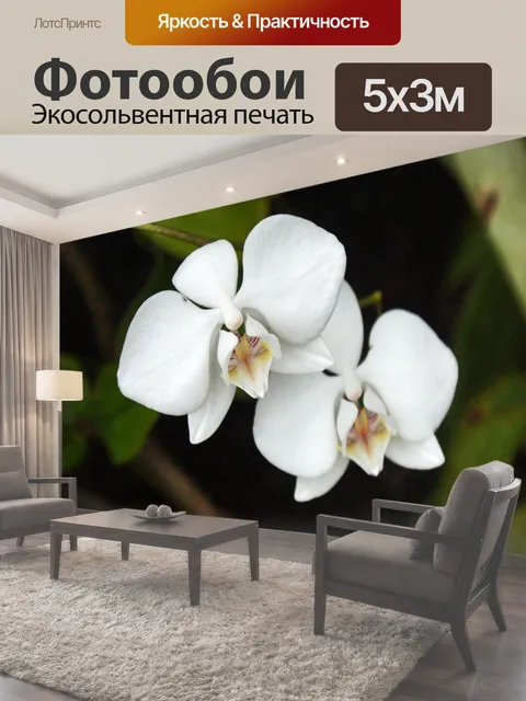 500 × 300 см · Экосольвентная печать