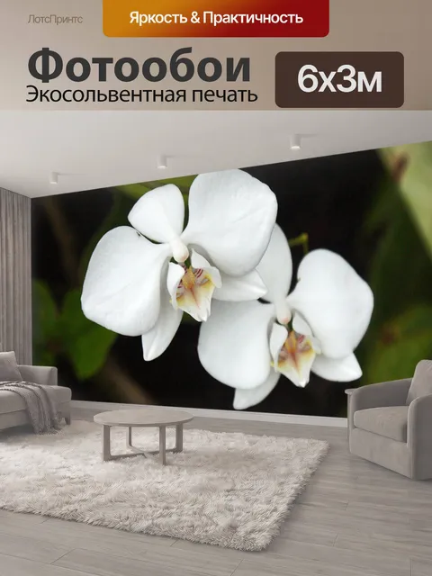 600 × 300 см · Экосольвентная печать