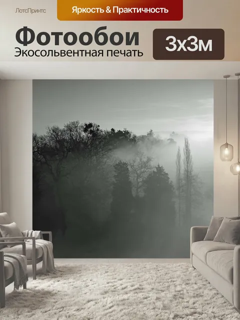 Фотообои Деревья, солнечные лучи, свет