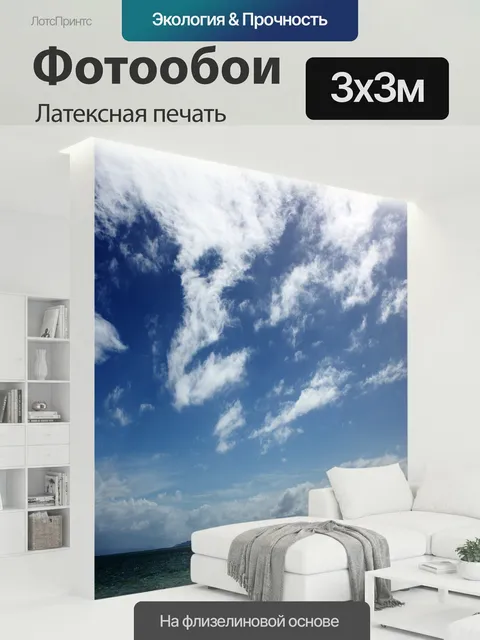 300 × 300 см · Латексная печать