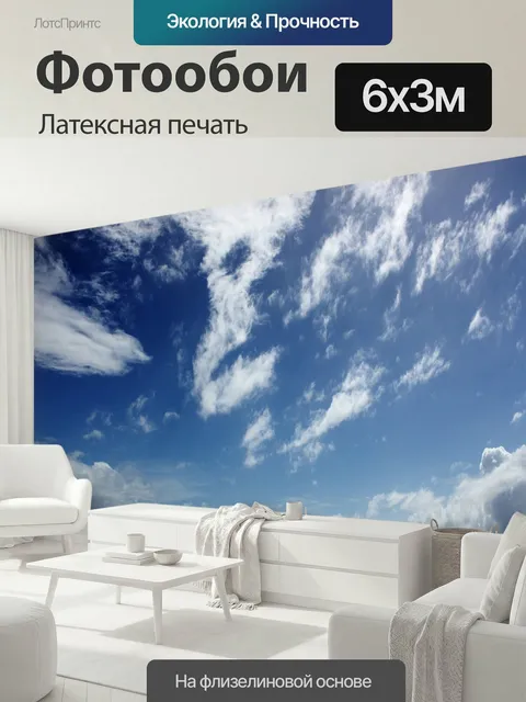 600 × 300 см · Латексная печать
