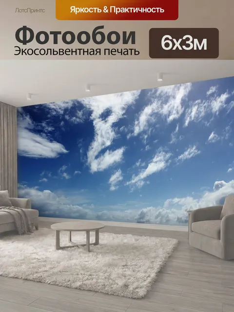 600 × 300 см · Экосольвентная печать