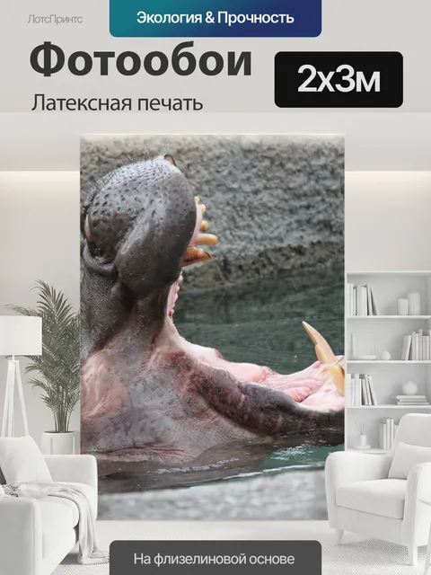 200 × 300 см · Латексная печать