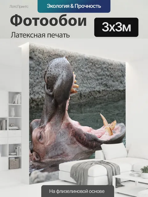 300 × 300 см · Латексная печать