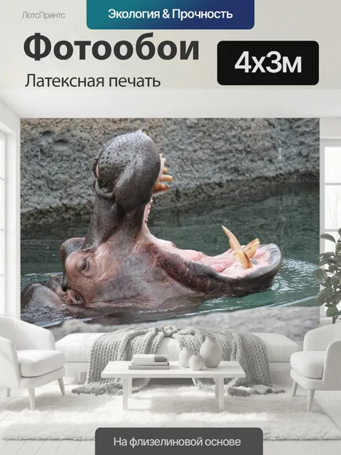 400 × 300 см · Латексная печать