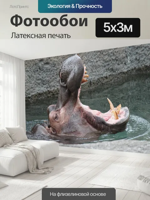 500 × 300 см · Латексная печать