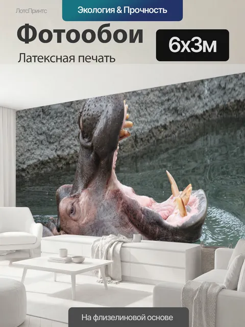 600 × 300 см · Латексная печать