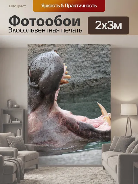 200 × 300 см · Экосольвентная печать
