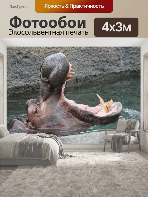 400 × 300 см · Экосольвентная печать