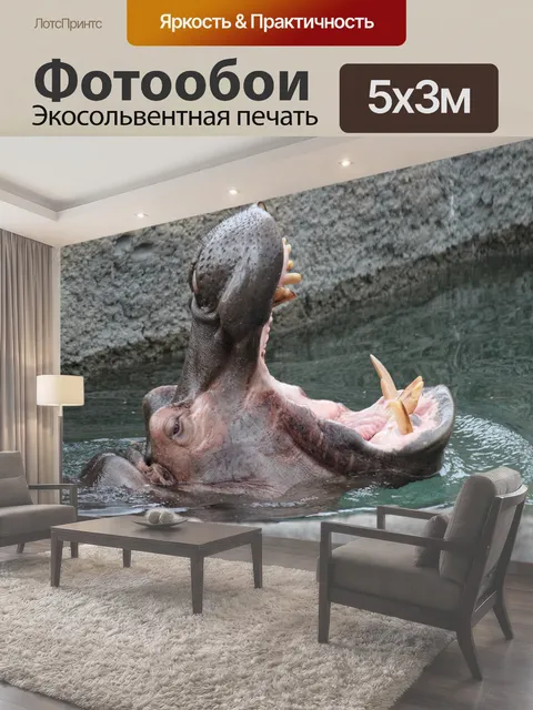 500 × 300 см · Экосольвентная печать