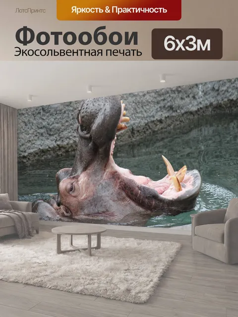 600 × 300 см · Экосольвентная печать